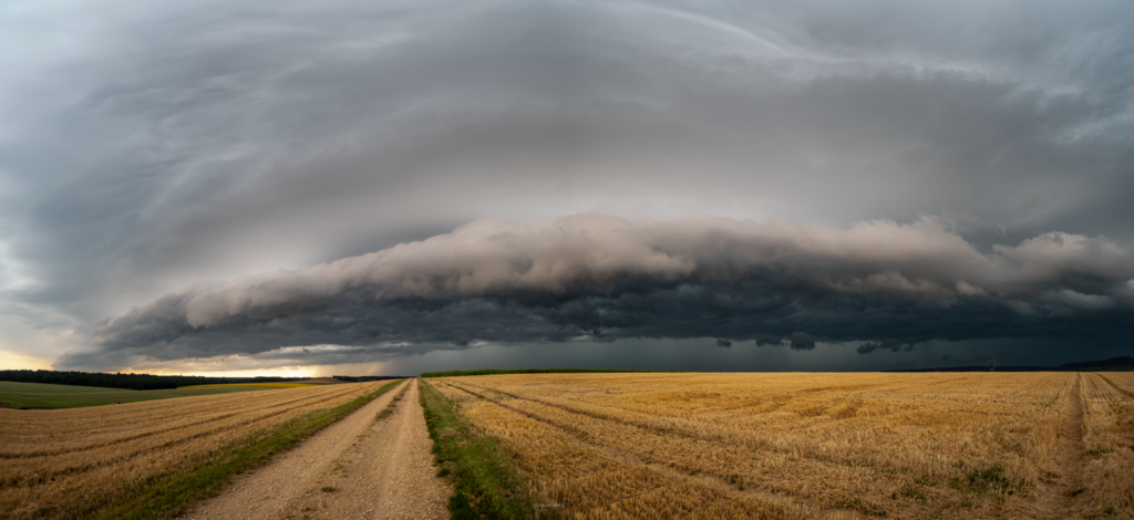 31072024-7500111-Panorama.png