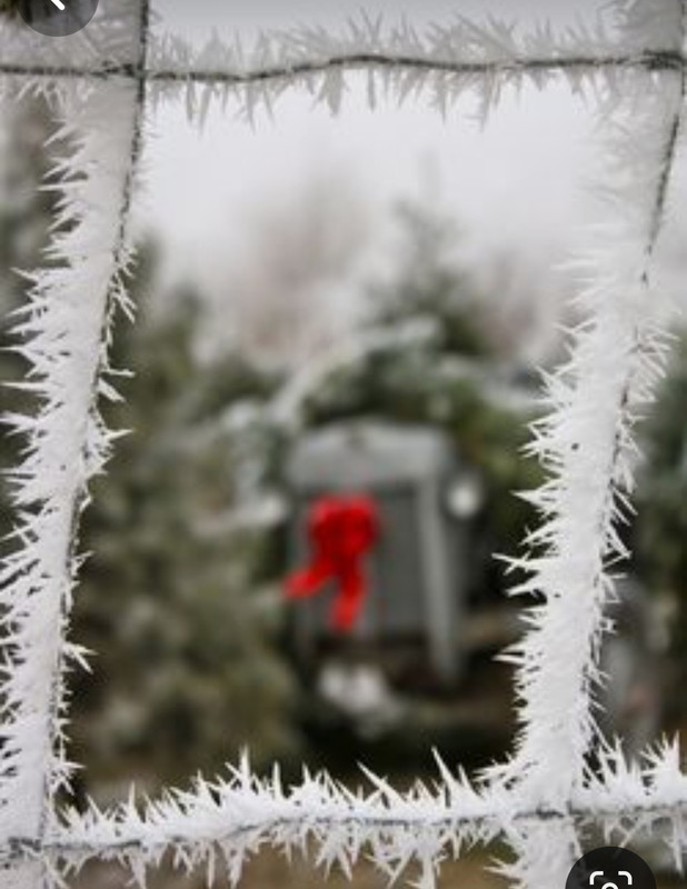 Screenshot_20240124_231330_Pinterest