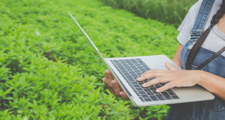 IoT dalam Perkembangan Agriculture 4.0, Menjadikan Petani sebagai Profesi yang Bergengsi