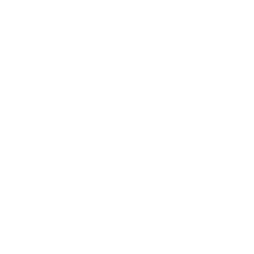 Free Router Icon