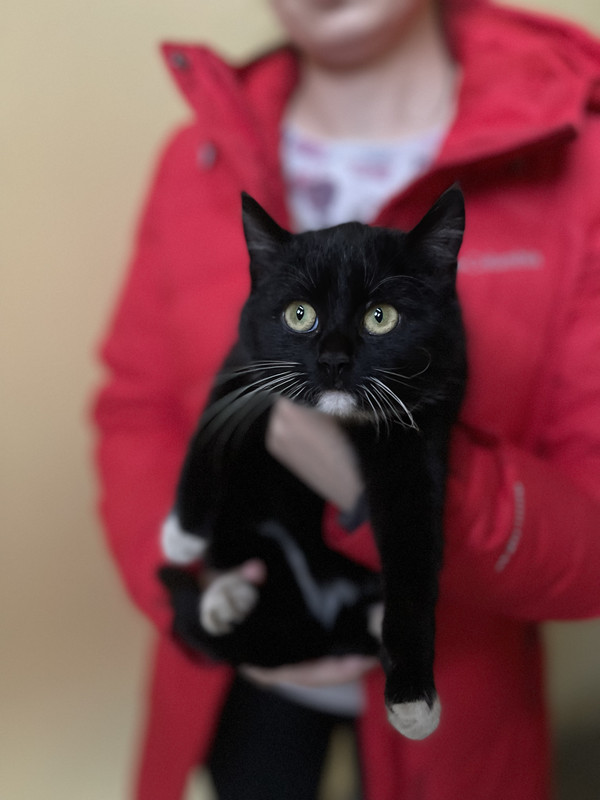 A3B34D8E-44C1-4FB2-83FA-EDF257FBC5A0