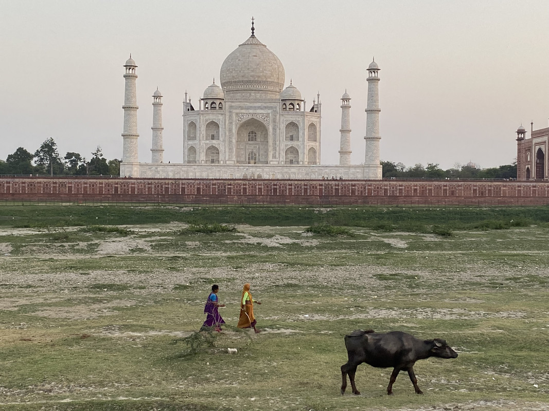 Etapa 12 - Explorando Agra: El majestuoso Taj Mahal - India: Un viaje esperado después de la pandemia (3)