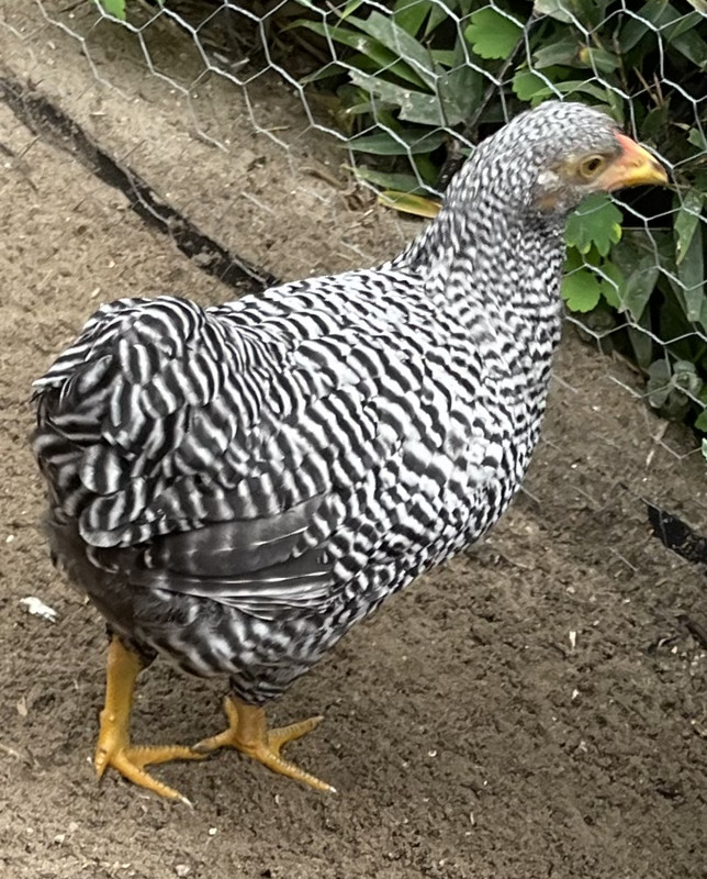 1CFF5030-A2C6-4C62-BC19-7C4FB64C3C7C