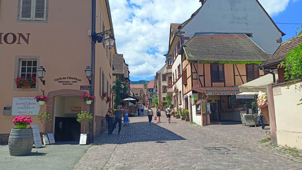 IMG20250628140734 (Large)