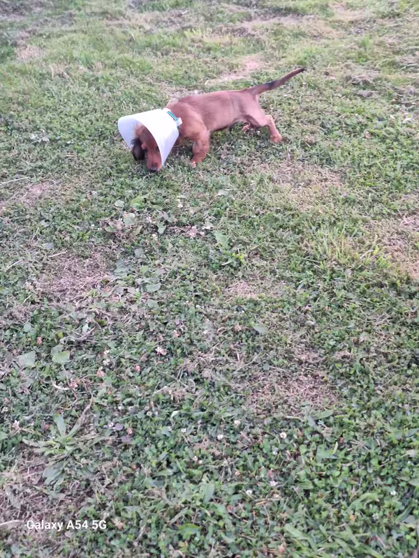 [Image: 20240919-194444.avif]