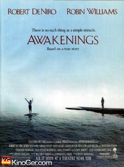 Zeit des Erwachens (1990)
