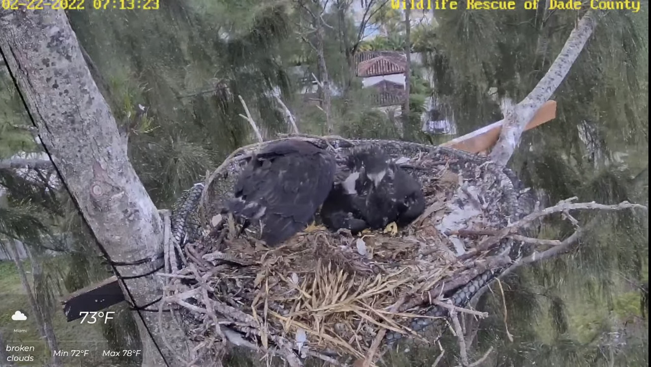 D81D1619-D111-4DB8-9263-F823A782AF53