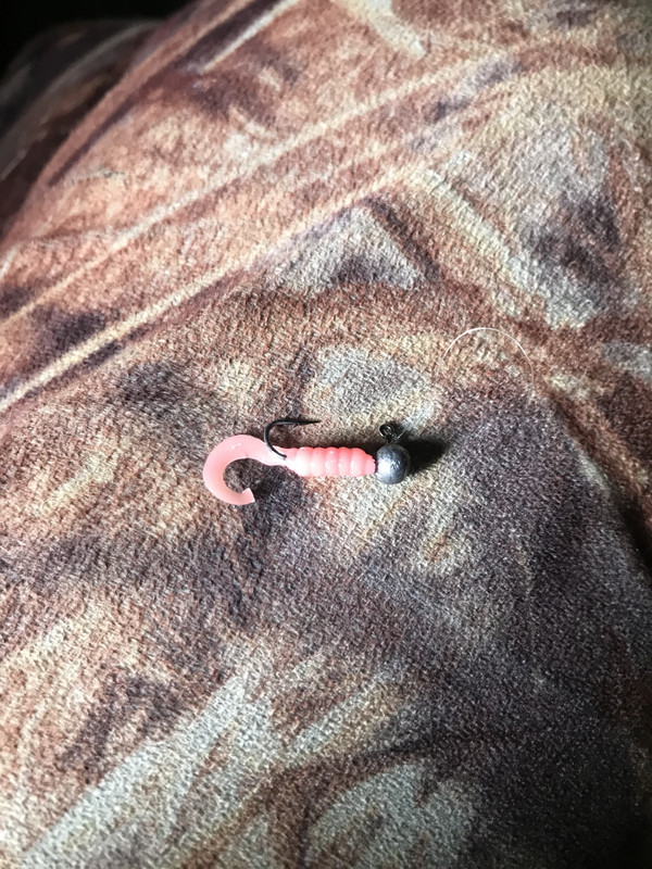 AED58482-077C-40ED-9876-DF2A3C9C552D