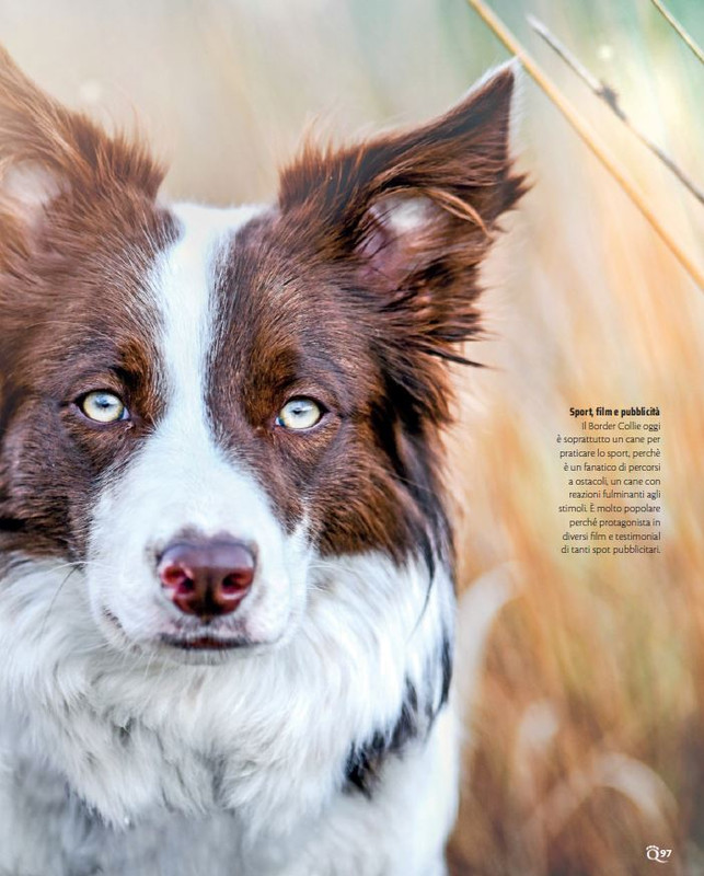 QuattroZampe Nov 2021 (10)