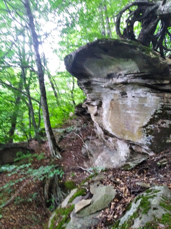 https://i.postimg.cc/sxPVQRGY/IMG-20200803-150921.jpg