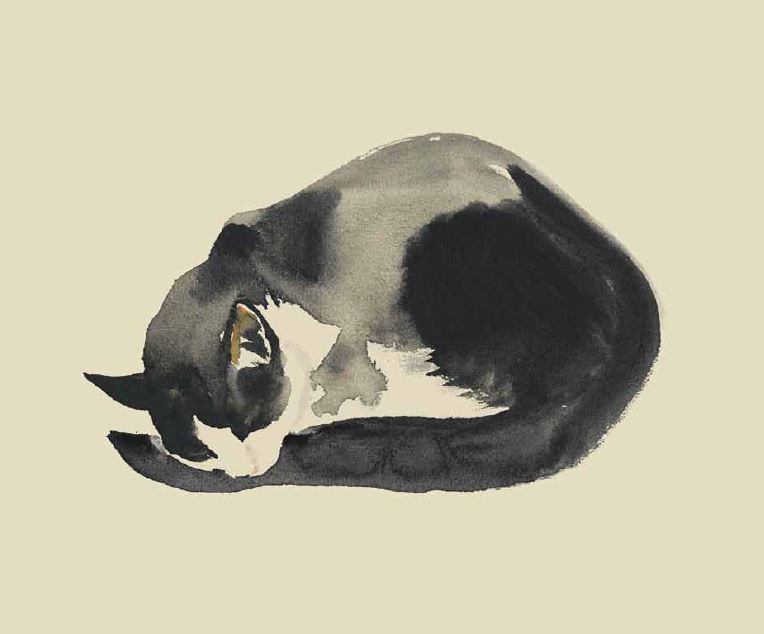 09