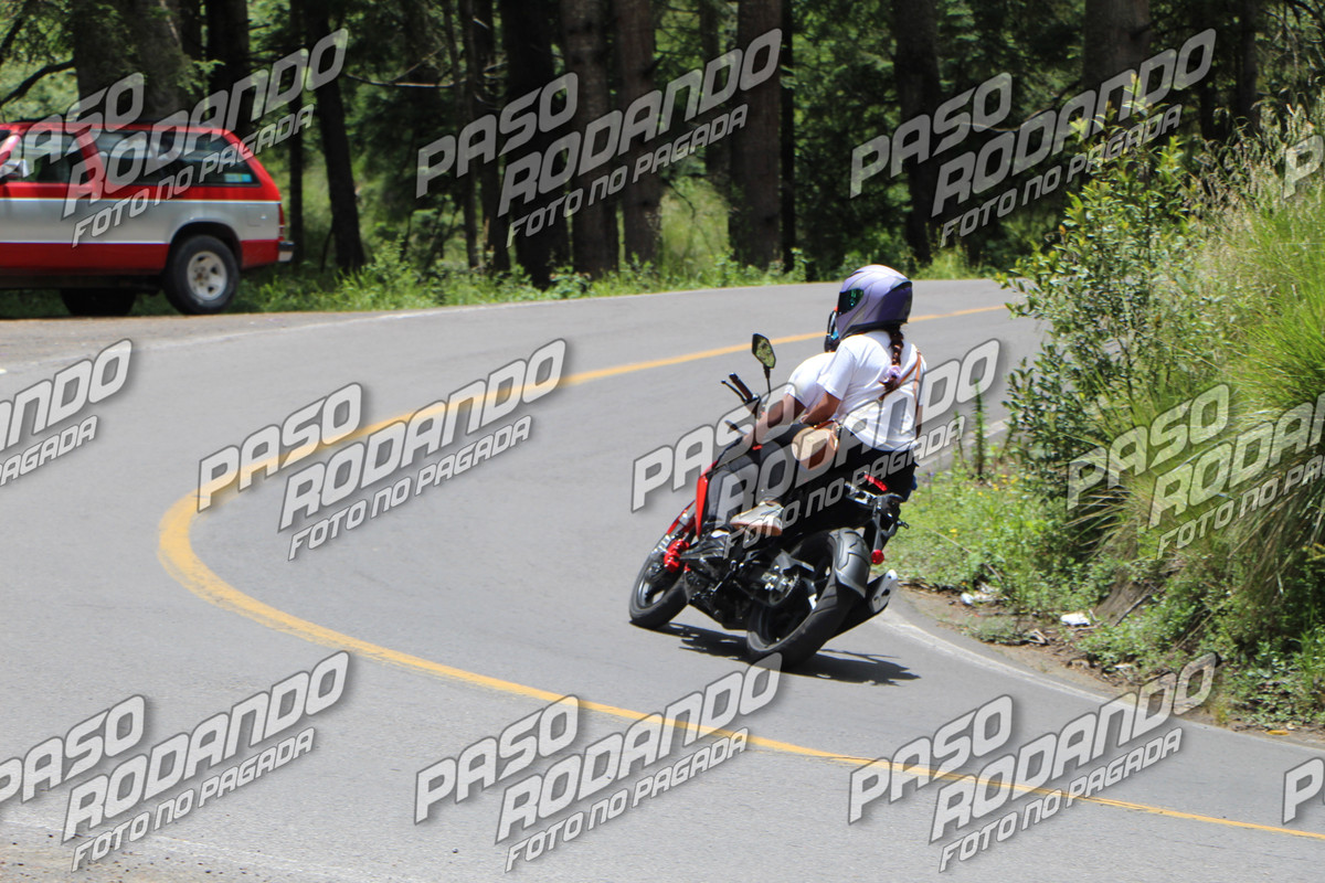 IMG 7567 wm 238084 2000000002 watermarked — Postimages