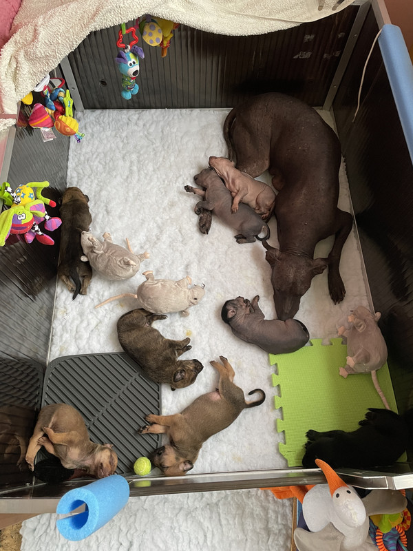 B9EDEEFF-8D47-4D36-A03A-55EA13D72DB1