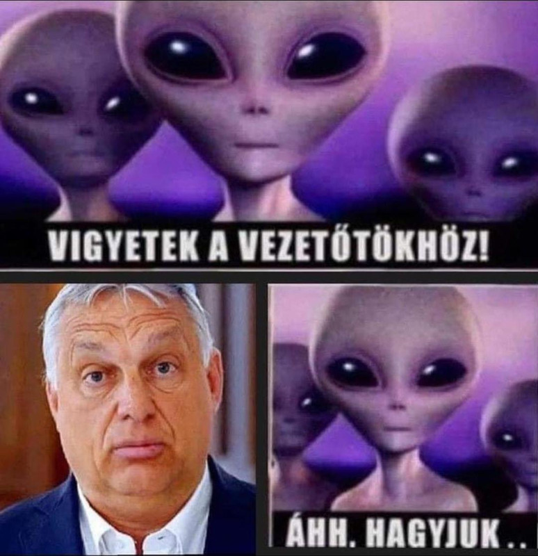 19795D5E-9A51-4B90-A089-6193254DE0EC