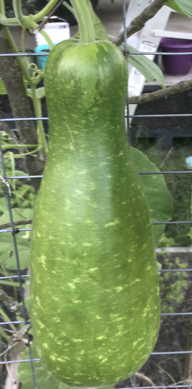 5412A23D-DE63-4678-8A26-E3899A158D74