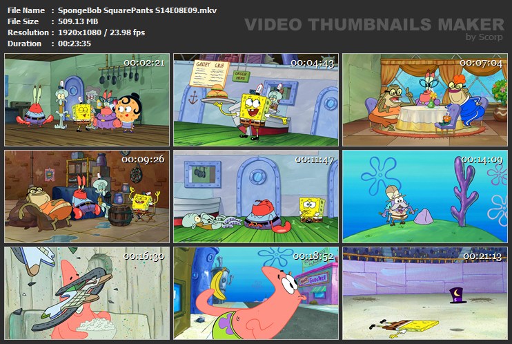 SpongeBob SquarePants S14E08E09.mkv