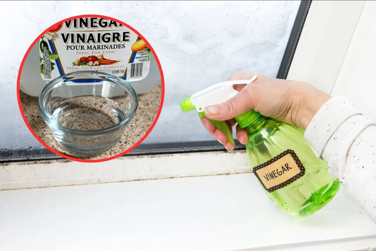 Beneficios del uso de vinagre en las ventanas durante los días calurosos