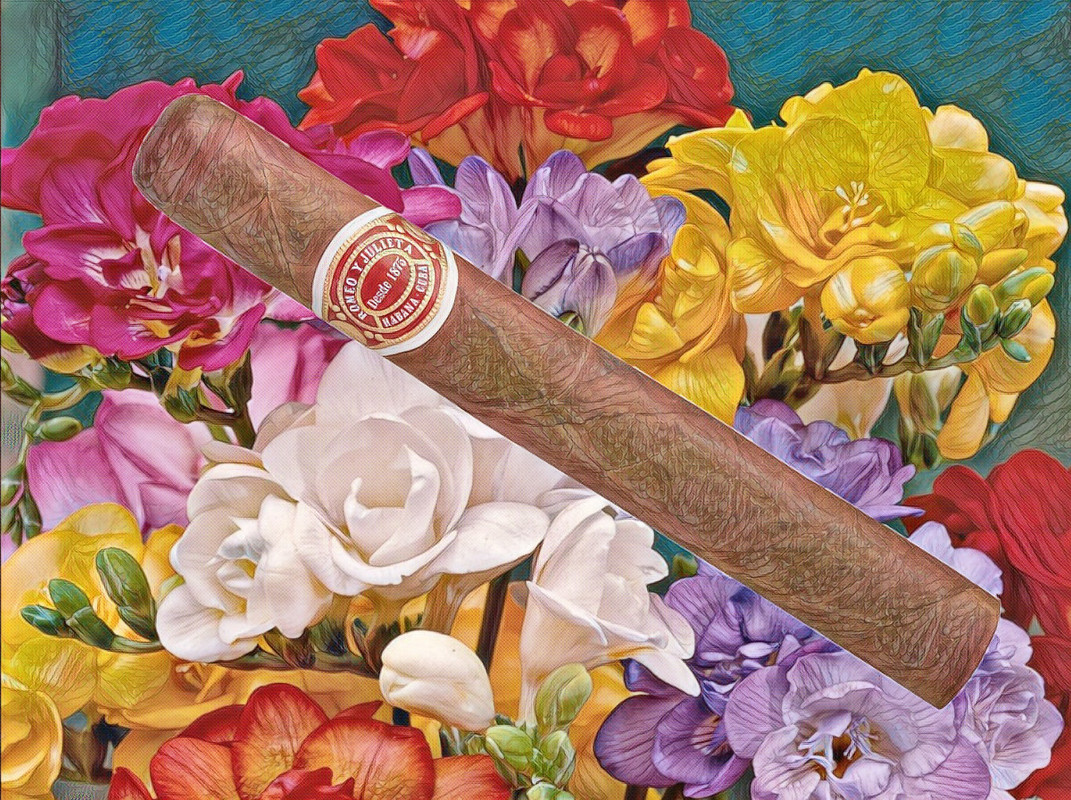 imageedit_2_5896418786