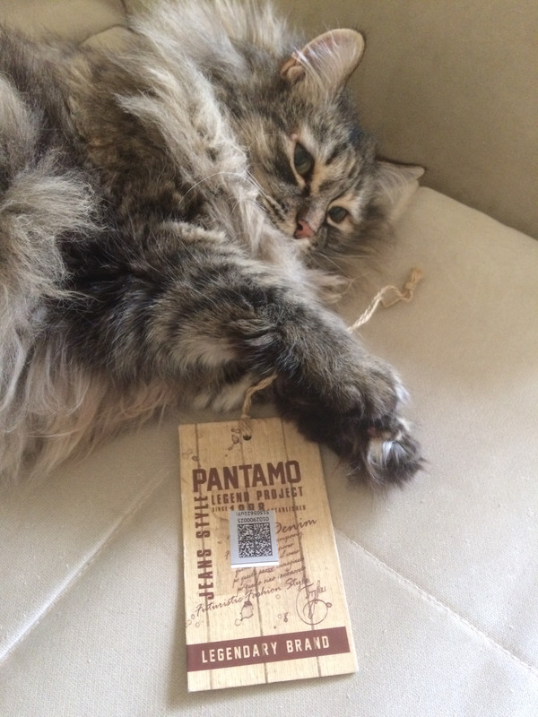 94344DFF-1171-474E-BEA7-8AE6A5297088