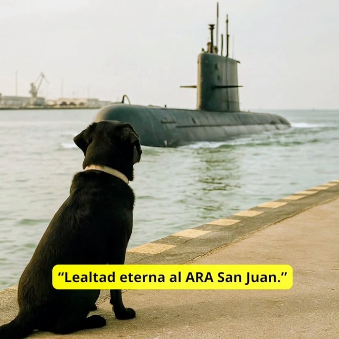 fotoperrito-Ara-San-Juan1