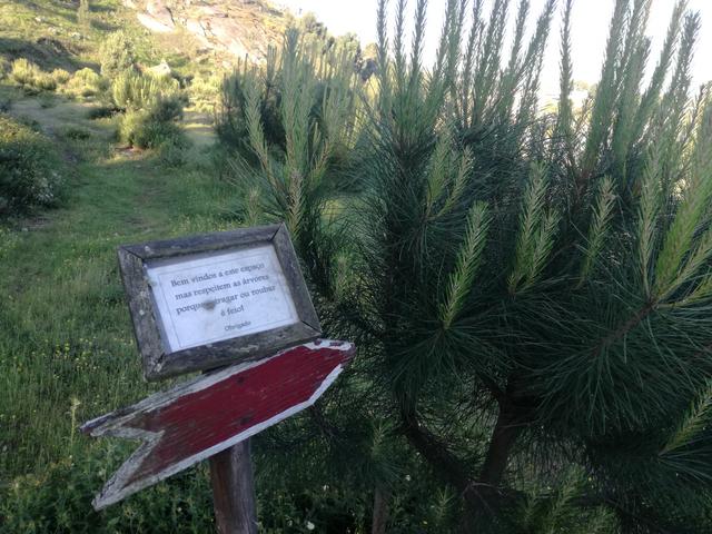 IMG-20190513-074100.jpg
