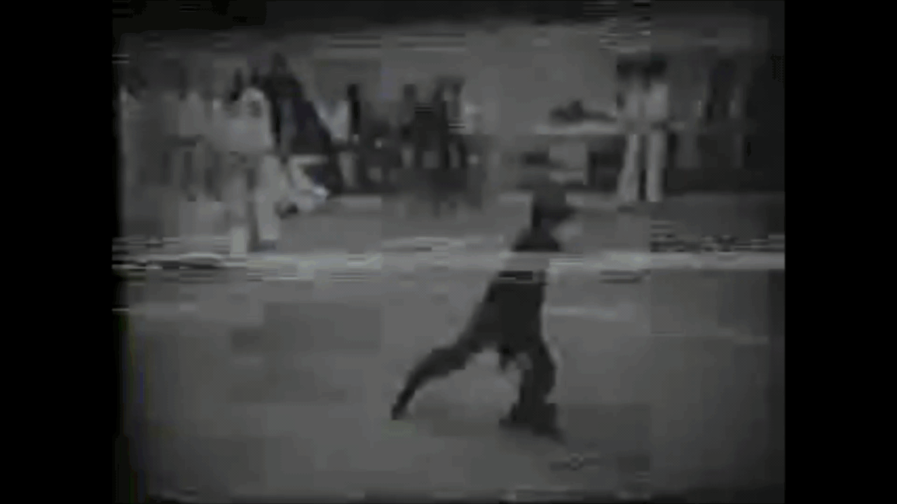 long fist striking tiger stance