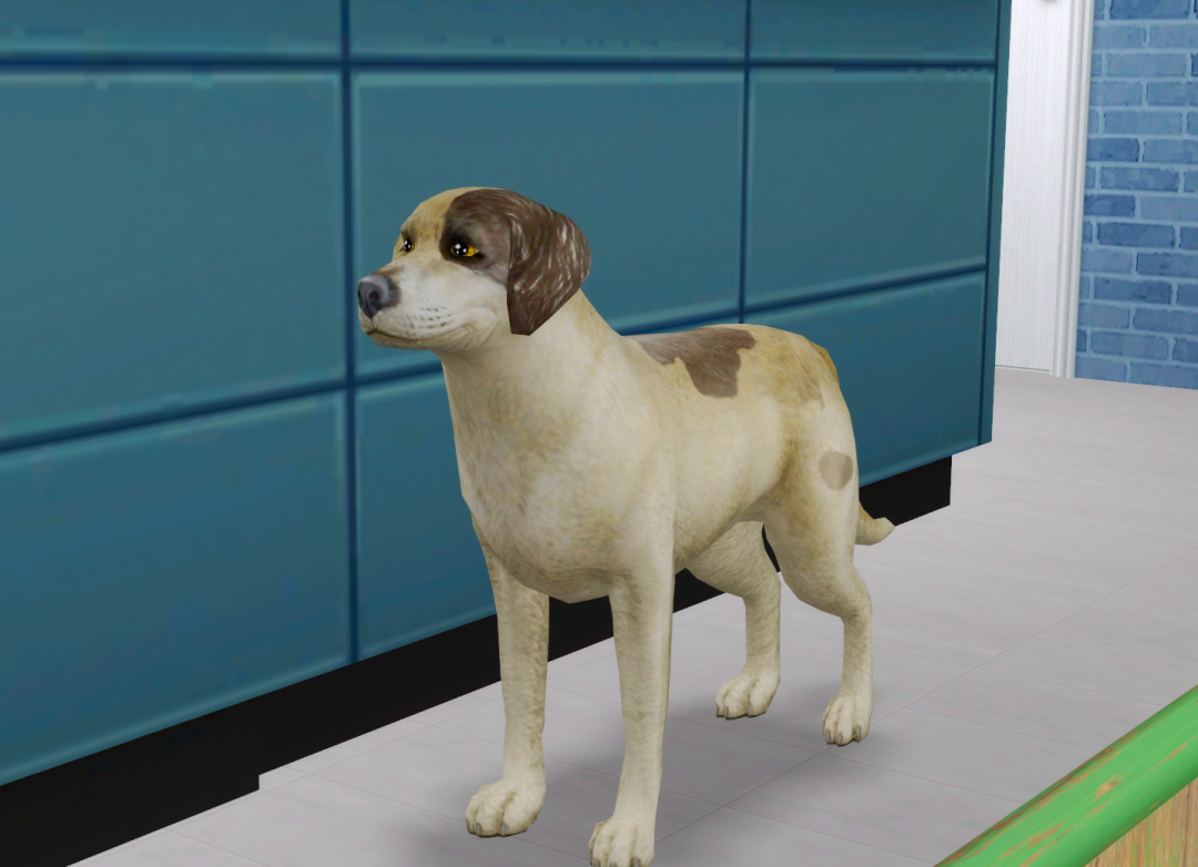 Sims2-EP9-RPC-2023-10-01-13-43-32-82