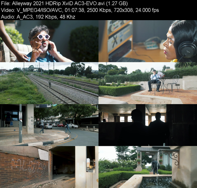 alleyway-2021-hdrip-xvid-ac3-evo.png
