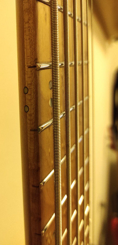 Ibanez 1006-6