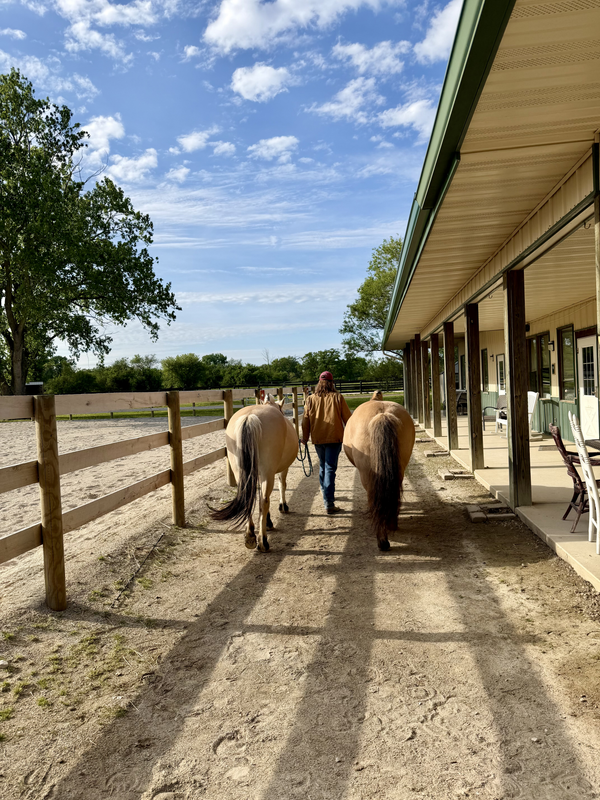 Equestrian Connection photo