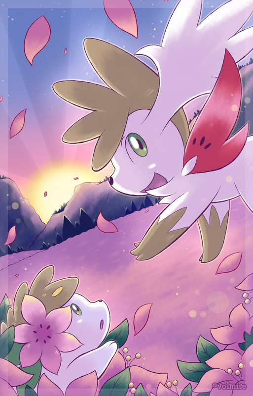 shaymin-shaymin-and-shaymin-pokemon-draw