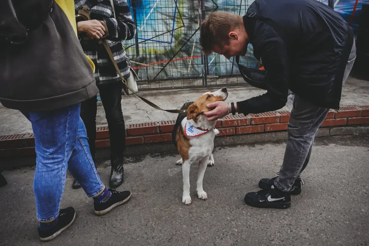 FB633D57-C1A6-4BFF-8B08-99EE03BE456B