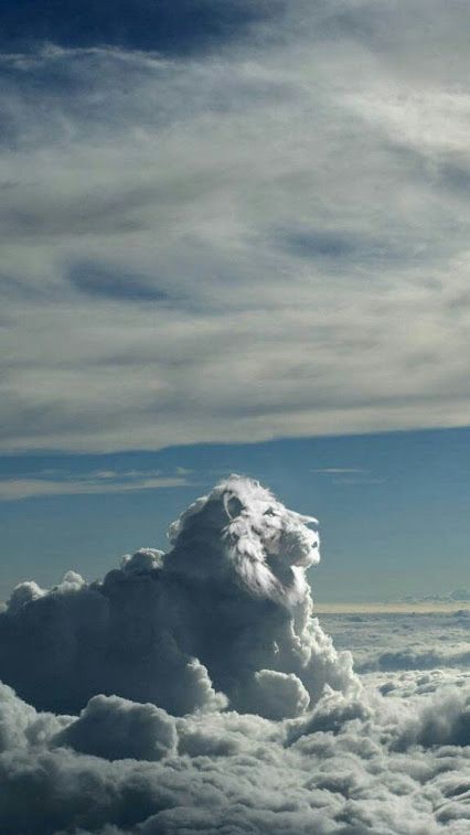 facelioncloud.jpg