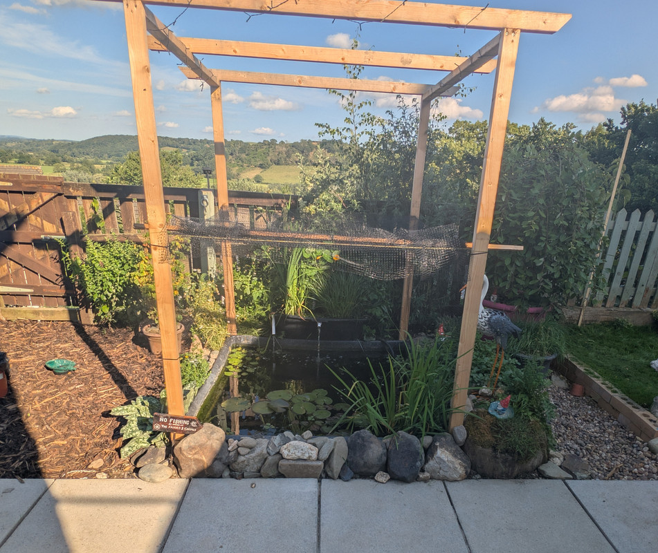 PXL_20250707_170944444