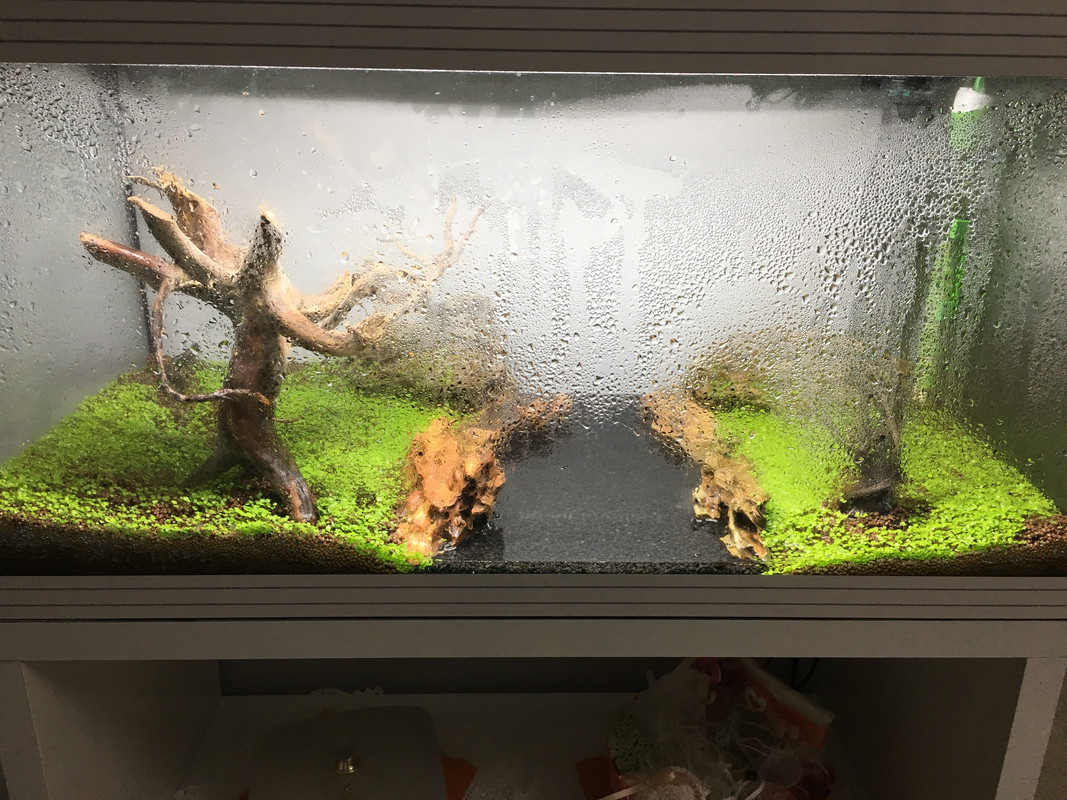 6326353A-8446-4C77-895D-ECBFA5CD40FB