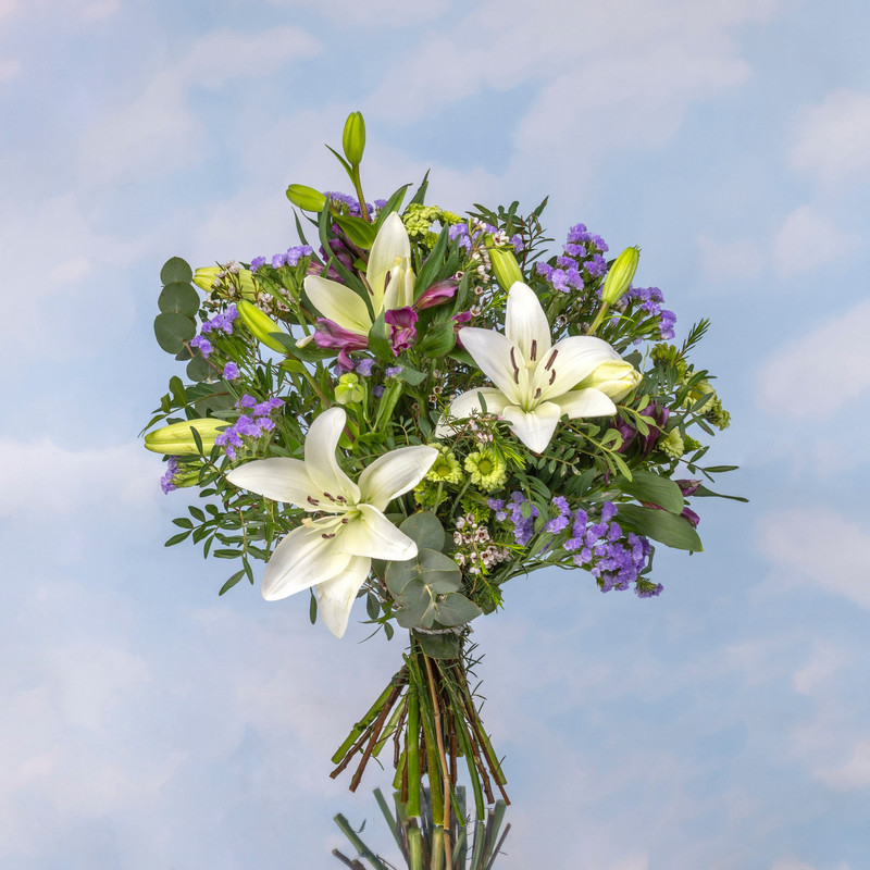 Ramo Colección MP Especial