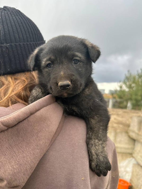 photo_2024-04-21_19-21-11 (3)