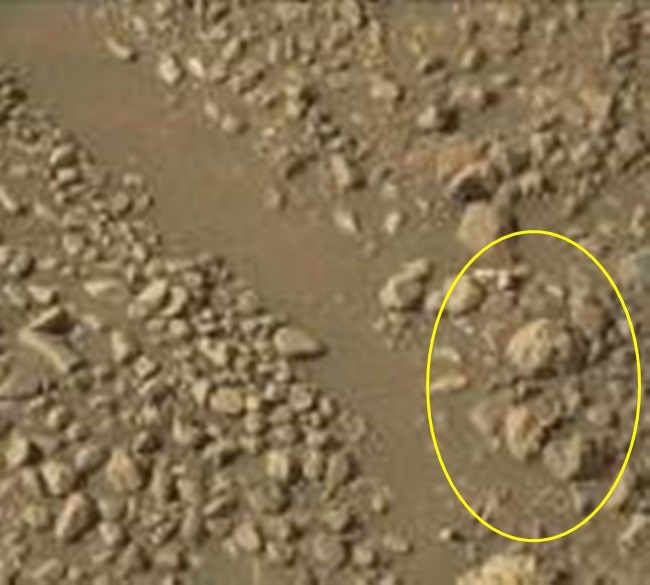 Nešto čudno se događa na mjestu InSight-a (Mars). Isparavanje podzemnog leda?  - Page 4 1-1