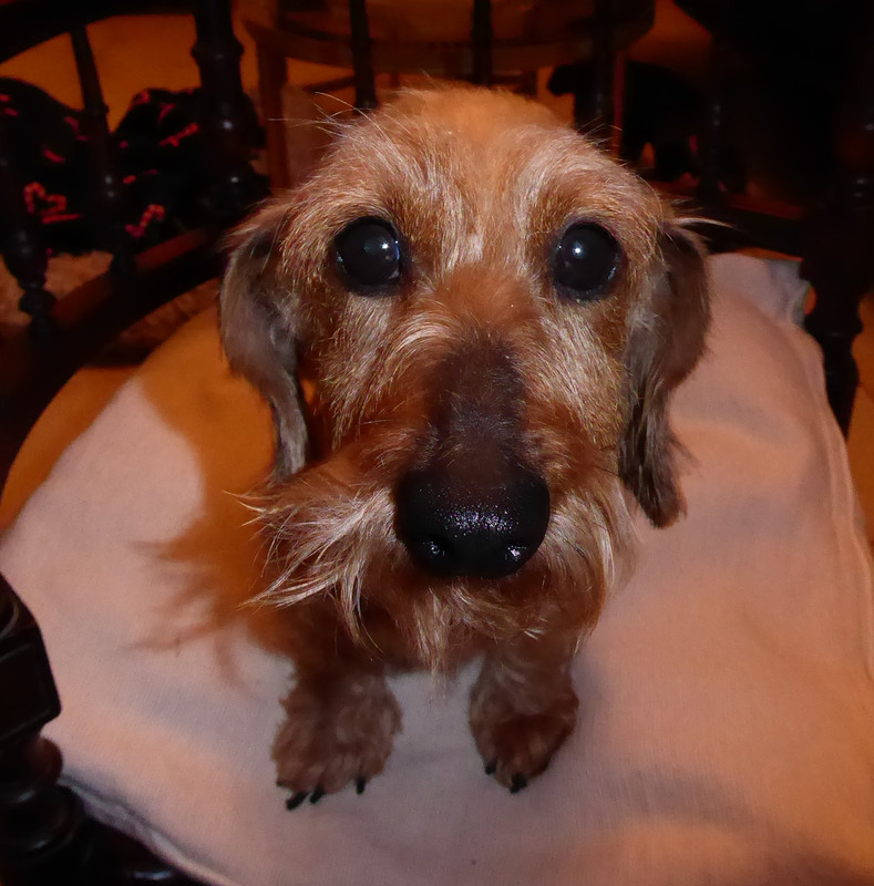 [Image: P1040624.jpg]