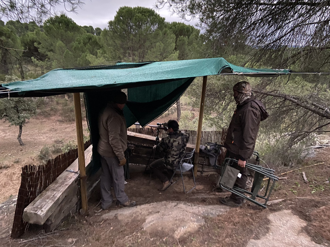 3D30C72D-5FE4-4AE2-A2F4-F21B5BC8F63E