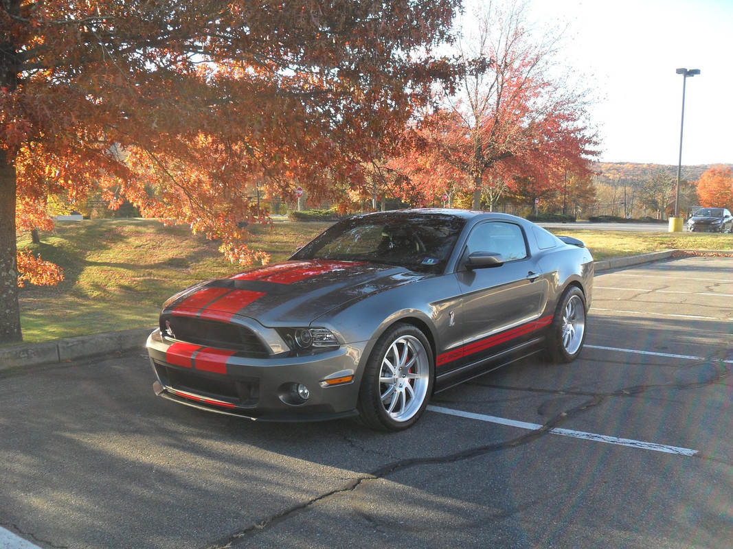 X-S/F Fall pic run - 3 073