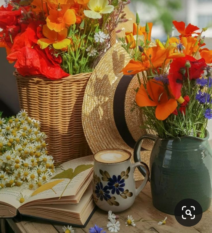 Screenshot_20230717_213310_Pinterest