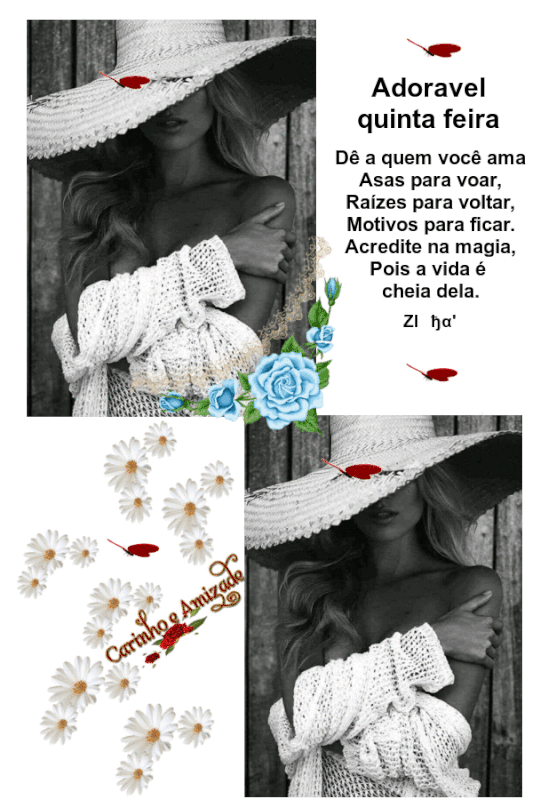 oie-oie-overlay-5.gif