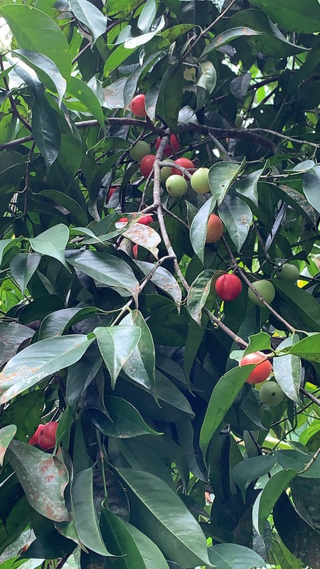 E1CFEBDF-4362-458D-B489-CAAD3B129882