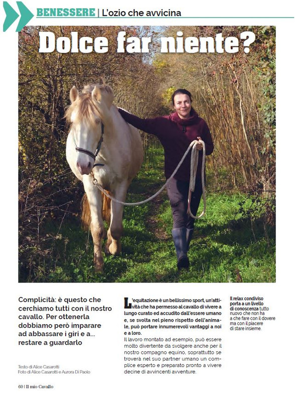 Il Mio Cav (Mar 2023) 11