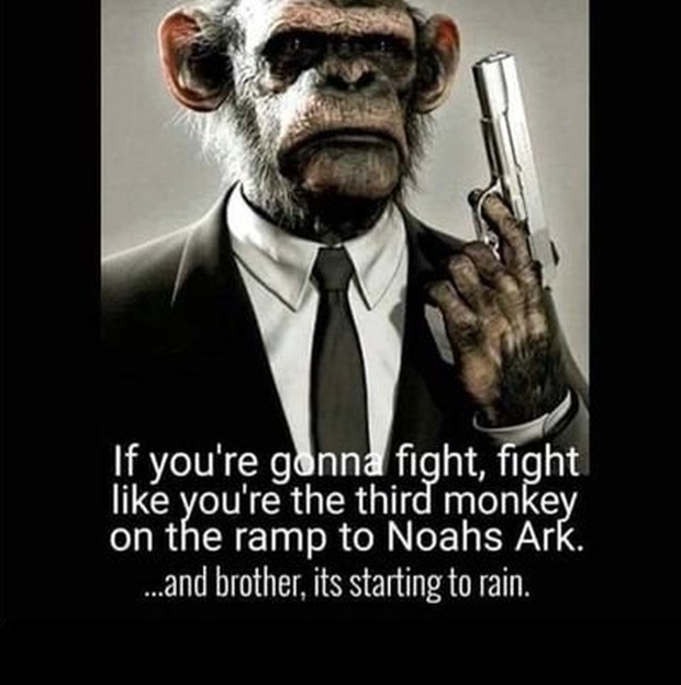 fight-like-last-monkey-2.jpg