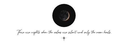 https://i.postimg.cc/sxT2WHnb/BBCODE2.png