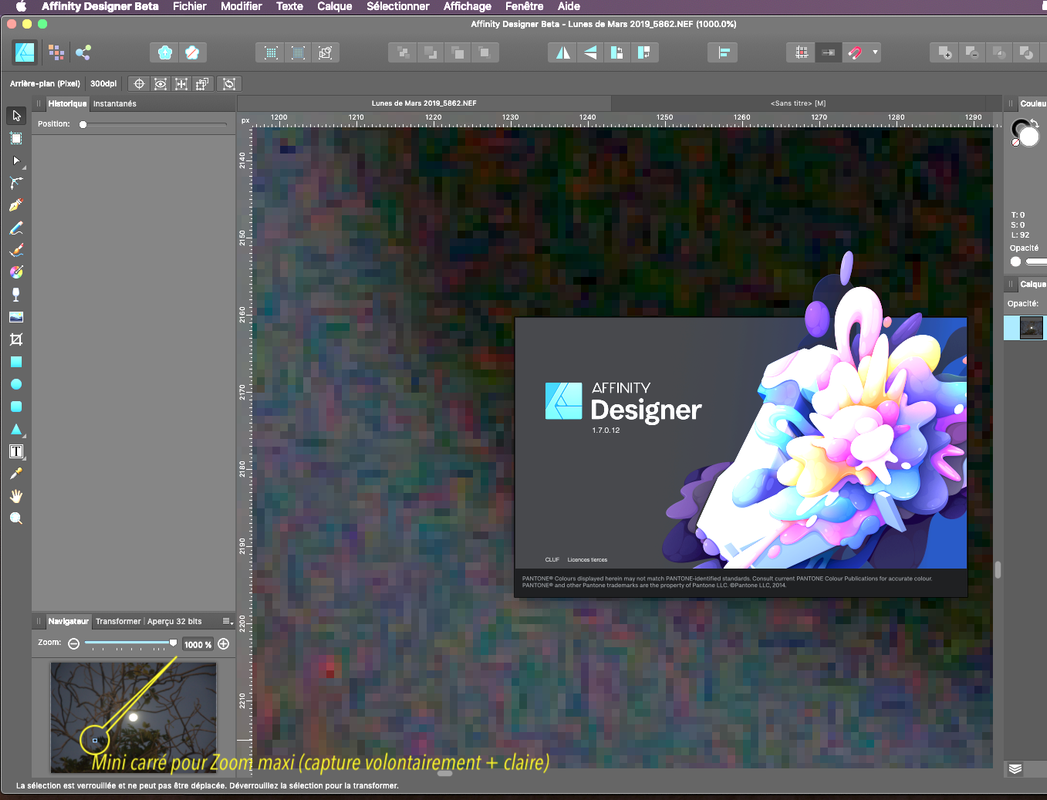 Navigateur Zoom maximum