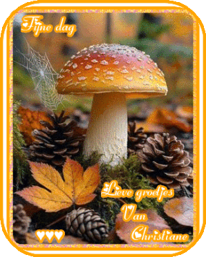 VOOR-BLOGJES-5-OKTOBER-MOOI.gif