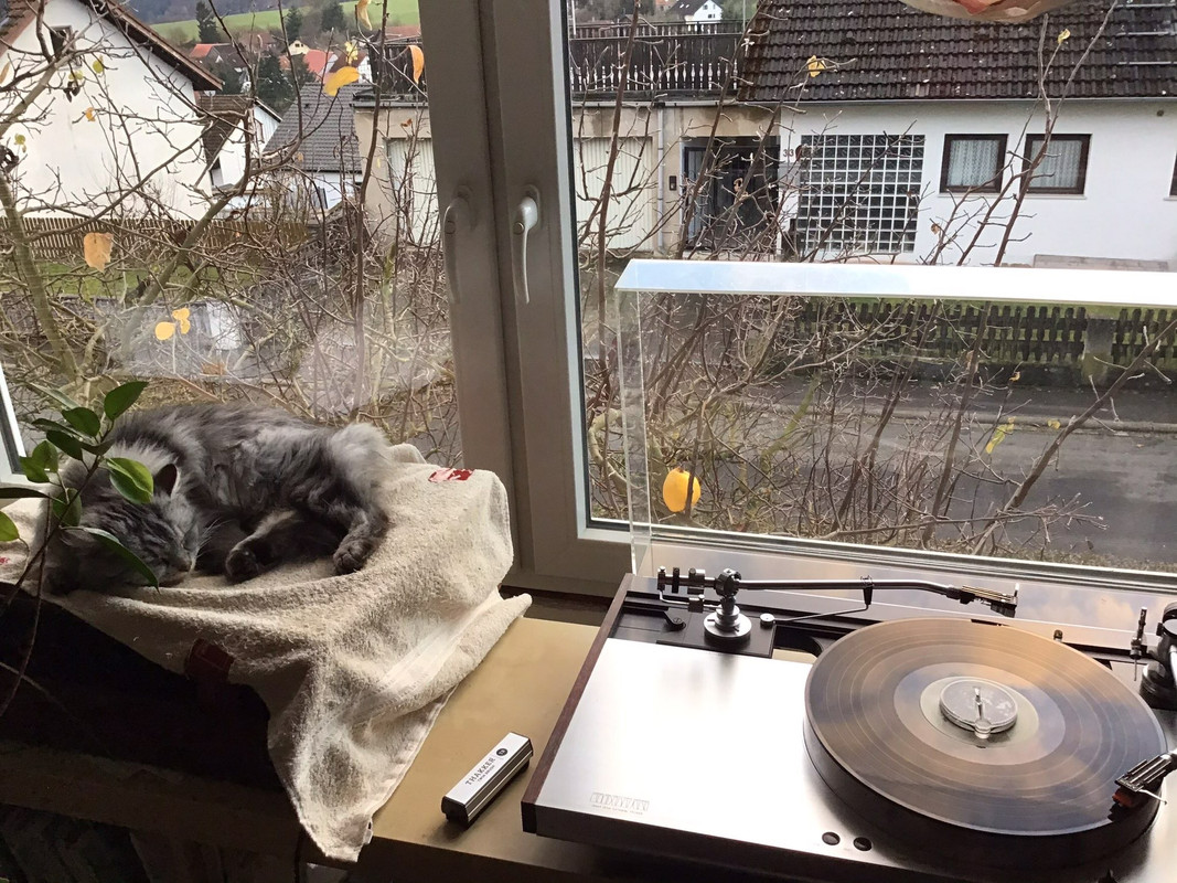 FF4647ED-F29B-4272-9718-27CA76FD95C9